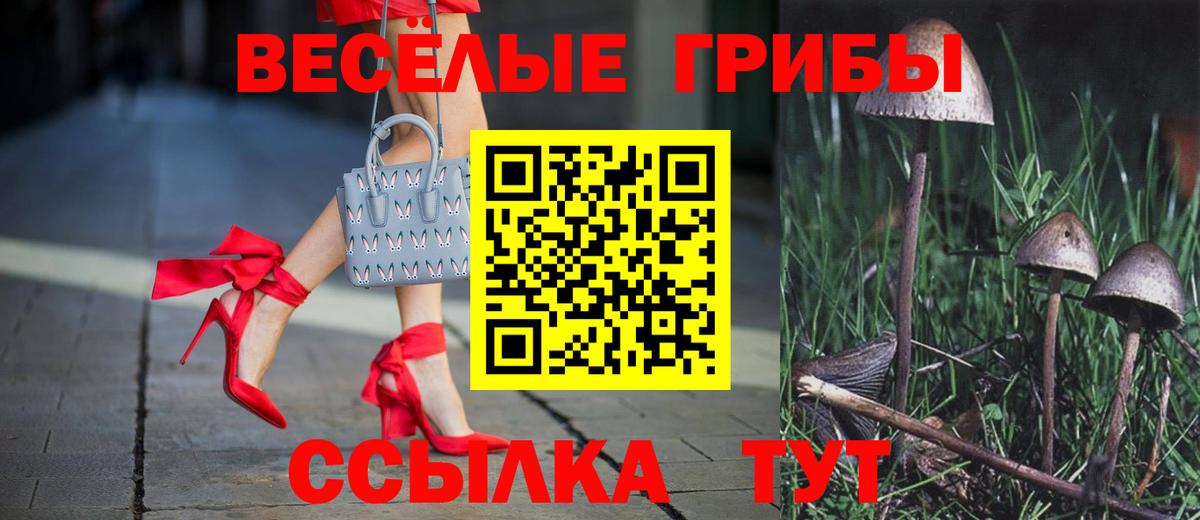 Ивантеевка  Галлюциногенные грибы GOLDEN TEACHER  Вход с VPN 