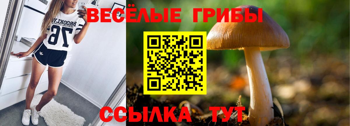 Галлюциногенные грибы мухоморы Ивантеевка